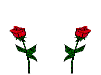 Rosen mit Herz